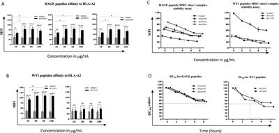 A Novel HAGE/WT1-ImmunoBody® Vaccine Combination Enhances Anti-Tumour Responses When Compared to Either Vaccine Alone